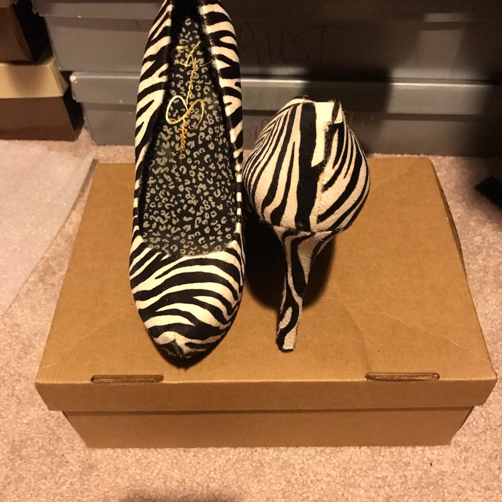 Zebra 🦓 - Picture 2 of 4